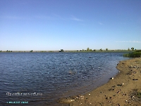 Спортивно-оздоровительный лагерь «Солнечный плёс». Июль 2011 года