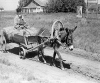 Гужевая повозка проезжает мимо курорта «Гай»