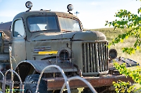 Ишкиновский пруд. Май 2025 года