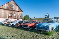 Ишкиновский пруд. Май 2025 года