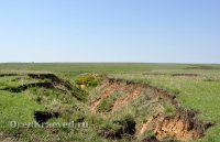 Природа Оренбуржья