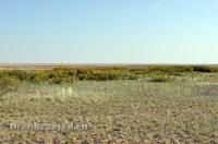 Природа Оренбуржья