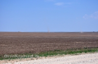 Природа Оренбуржья