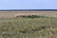 Природа Оренбуржья