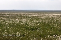 Природа Оренбуржья