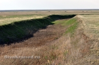 Природа Оренбуржья