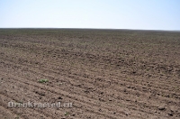 Природа Оренбуржья