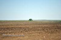 Природа Оренбуржья