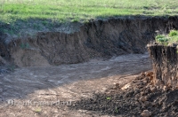 Природа Оренбуржья