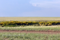 Природа Оренбуржья