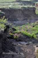 Природа Оренбуржья