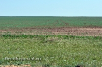 Природа Оренбуржья