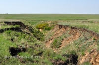 Природа Оренбуржья