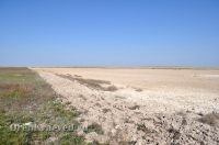 Природа Оренбуржья