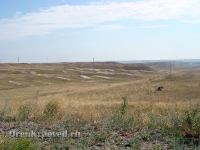 Природа Оренбуржья