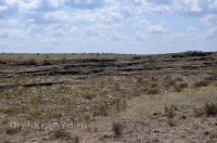 Природа Оренбуржья