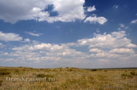 Природа Оренбуржья