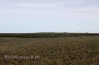 Природа Оренбуржья