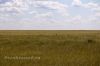 Природа Оренбуржья