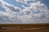Природа Оренбуржья