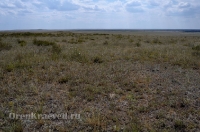 Природа Оренбуржья