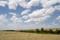Природа Оренбуржья