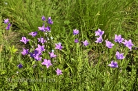 Природа Оренбуржья