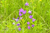 Природа Оренбуржья