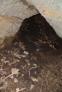 Пещера Папоротник