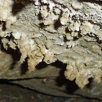 Пещера Мозаика