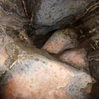 Пещера Мозаика