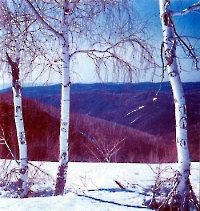 Хребет Шайтантау