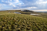 Гора Мильтау