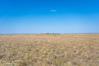 Гора Аккарга. Июнь 2025 года