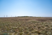 Гора Аккарга. Июнь 2025 года