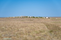 Гора Аккарга. Июнь 2025 года