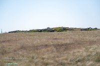 Гора Аккарга. Июнь 2025 года