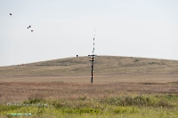 Горы Игиз-Кара. Июнь 2025 года