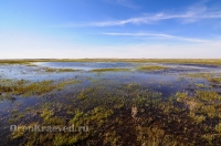 Городской округ Орск