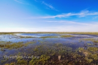 Городской округ Орск