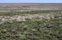 Городской округ Орск