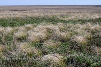 Городской округ Орск