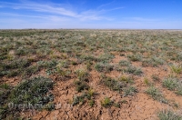 Городской округ Орск