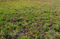 Городской округ Орск