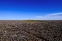 Городской округ Орск