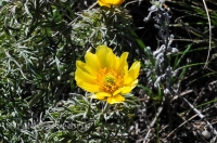 Городской округ Орск