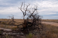 Кваркенский район