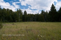 Кваркенский район