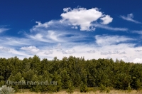 Кваркенский район