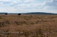 Кваркенский район